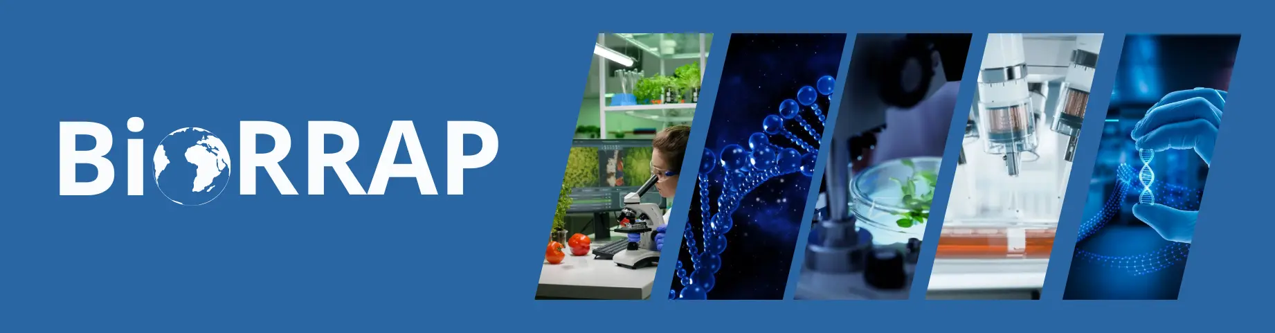 BioRRAP Image